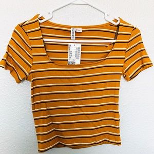 Mustard Stripped Crop Top